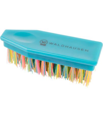 Waldhausen hoevenborstel regenboog