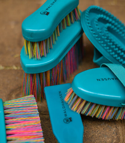 Waldhausen zachte borstel lange haren regenboog