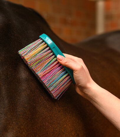Waldhausen zachte borstel lange haren regenboog