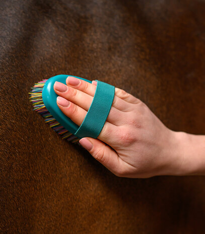 Waldhausen zachte borstel regenboog