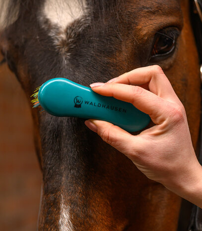Waldhausen hoofdborstel regenboog