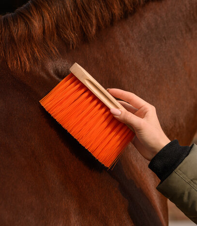 Waldhausen zachte borstel met lange haren
