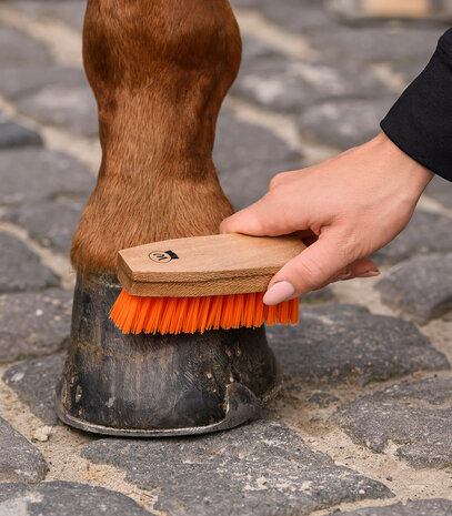 Waldhausen hoevenborstel