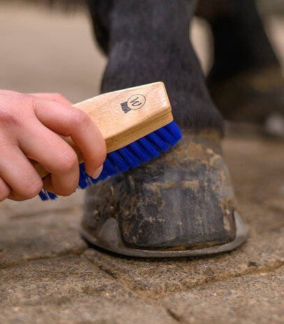 Waldhausen hoevenborstel