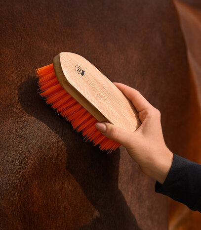 Waldhausen harde borstel