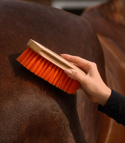 Waldhausen harde borstel