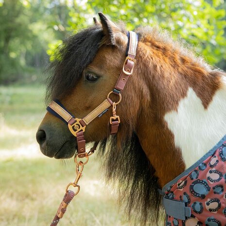 Harry's Horse halsterset Diva Mauvewood