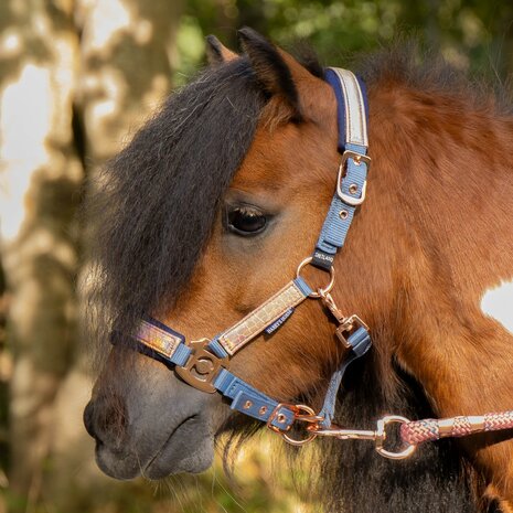 Harry's Horse halsterset Diva Mauvewood