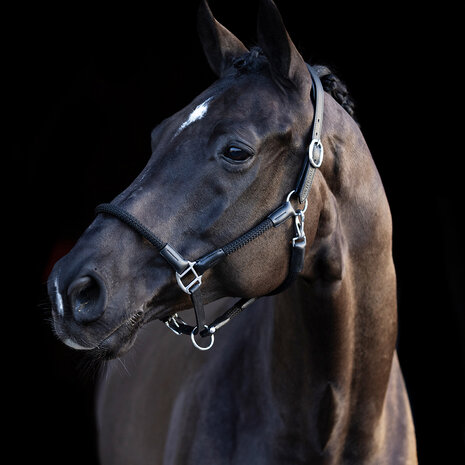 HV Polo halster Franka