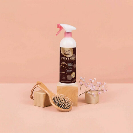 Ravene Easy Shine antiklit spray 750ml limited edition