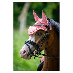 BR Mini Horse oornetje