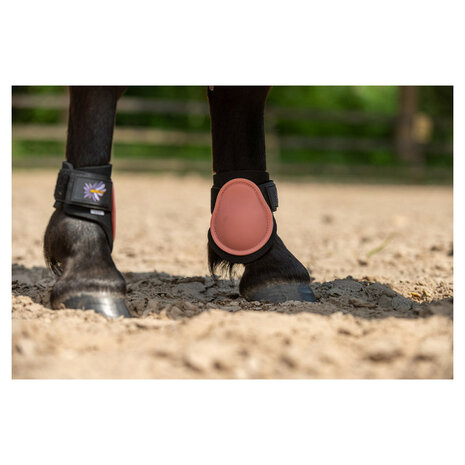 BR Mini Horse strijklappen