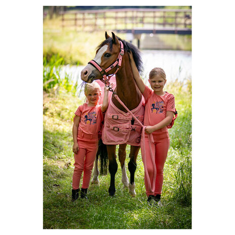 BR Mini Horse halster