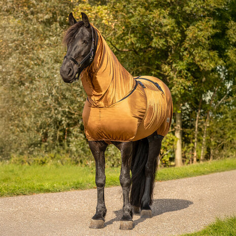 QHP eczeemdeken Big neck