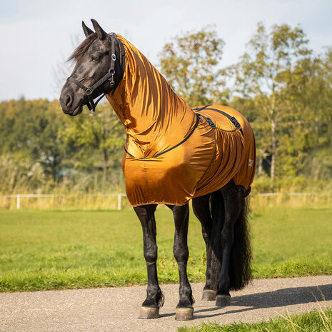 QHP eczeemdeken Big neck brons