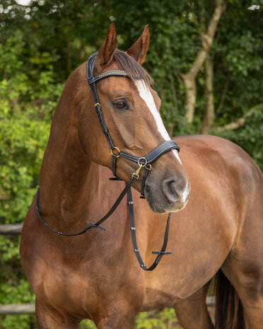 QHP bitloos sidepull hoofdstel Anatomical bruin