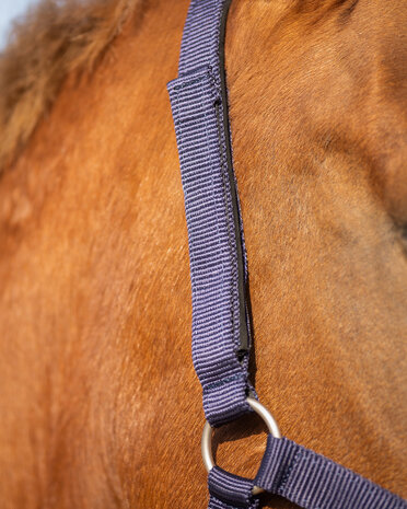 QHP veiligheids halster gevoerd blauw