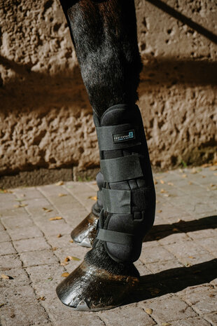 EquiTheme Cool&Dry peesbeschermers Fresh