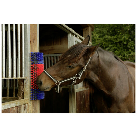 Excellent schuurborstel voor paard, rund en geit