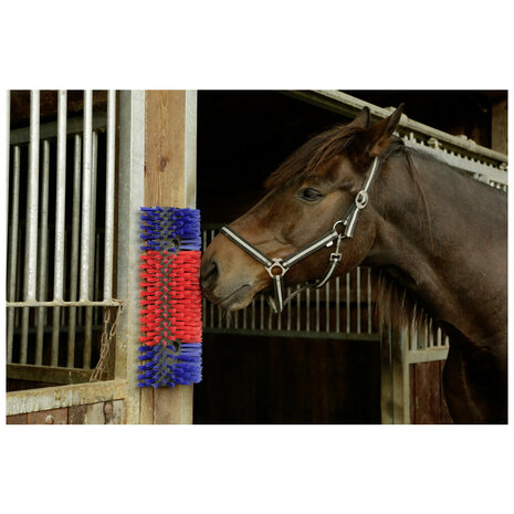 Excellent schuurborstel voor paard, rund en geit