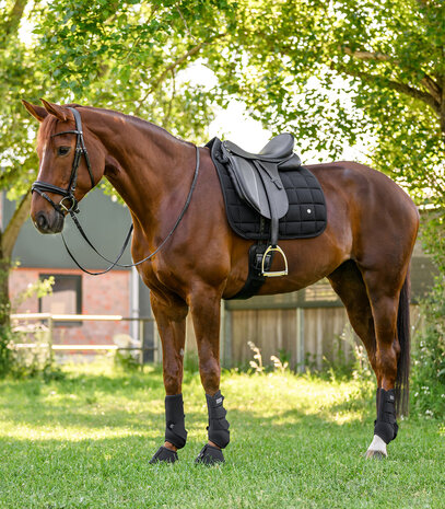 Waldhausen zadeldek Breath Performance
