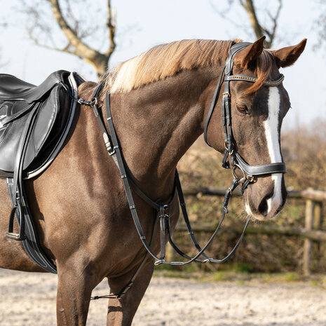 QHP Borsttuig Basic pro
