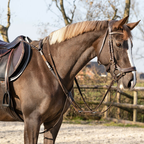 QHP Borsttuig Basic pro