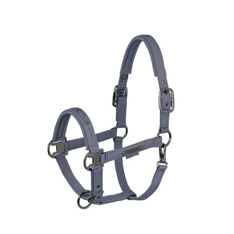 Eskadron Halster Sparkle Double Pin Platinum 26