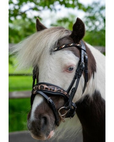 HB hoofdstel Showtime Luipaard little sizes