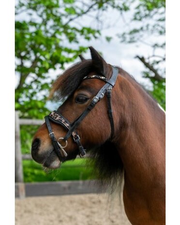 HB hoofdstel Showtime Luipaard little sizes