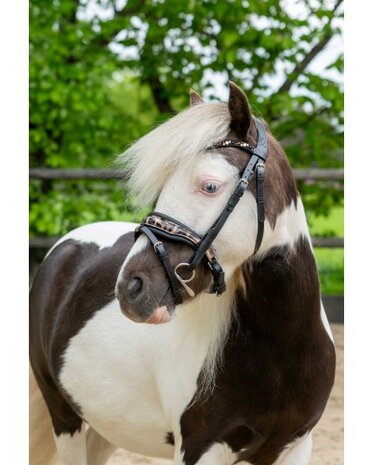HB hoofdstel Showtime Luipaard little sizes