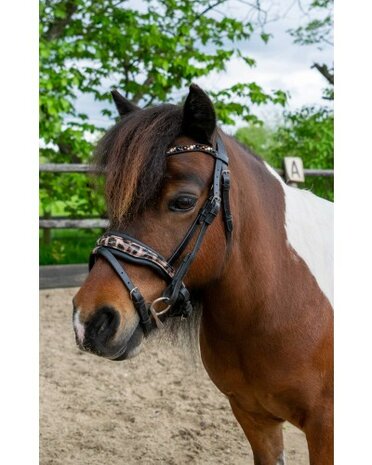 HB hoofdstel Showtime Luipaard little sizes