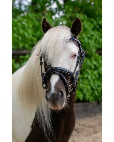 HB hoofdstel Showtime Petit Royal little sizes