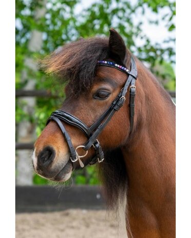 HB hoofdstel Showtime Petit Royal little sizes