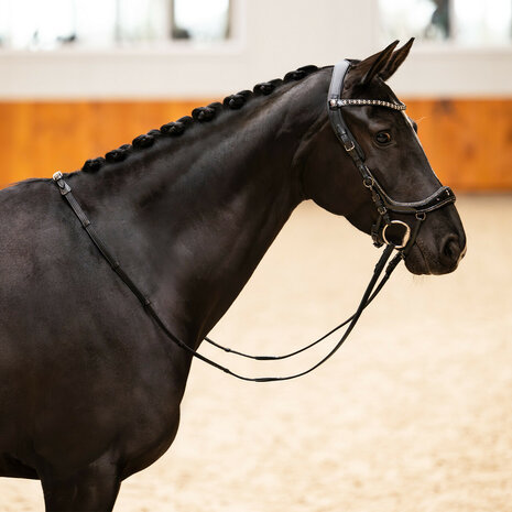PresTeq Hoofdstel FaySport Glitter