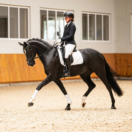 PresTeq Hoofdstel FaySport Glitter
