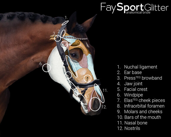 PresTeq Hoofdstel FaySport Glitter
