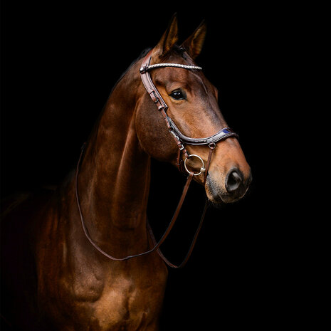 PresTeq Hoofdstel FaySport Glitter