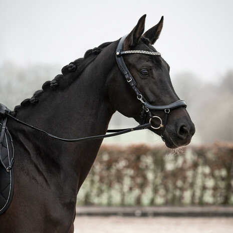 PresTeq hoofdstel FaySport Shine