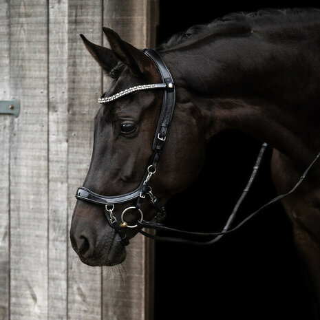 PresTeq hoofdstel FaySport Shine