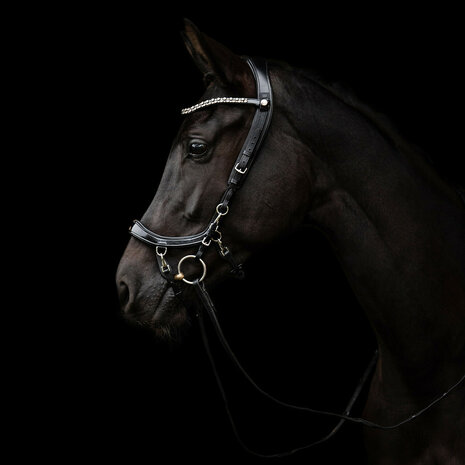 PresTeq hoofdstel FaySport Shine