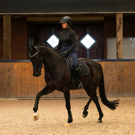 PresTeq hoofdstel FaySport Shine