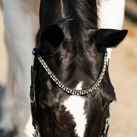 PresTeq hoofdstel FaySport Shine