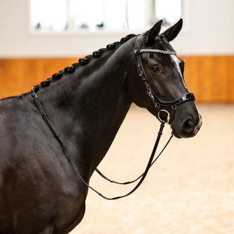 PresTeq hoofdstel FaySport Shine