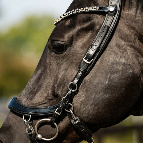 PresTeq hoofdstel FaySport Shine