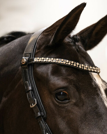 PresTeq hoofdstel FaySport Shine