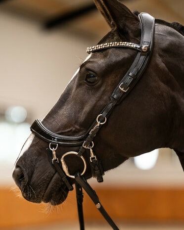 PresTeq hoofdstel FaySport Shine