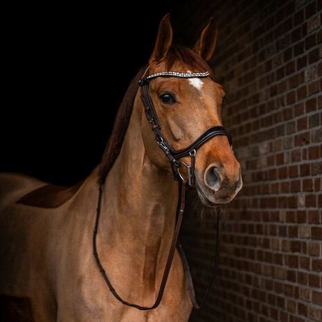 PresTeq hoofdstel FaySport Shine