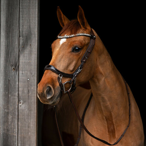 PresTeq hoofdstel FaySport Shine