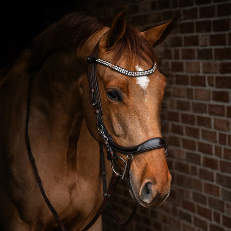 PresTeq hoofdstel FaySport Shine